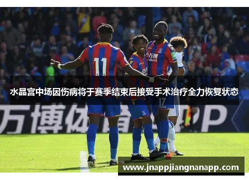 水晶宫中场因伤病将于赛季结束后接受手术治疗全力恢复状态