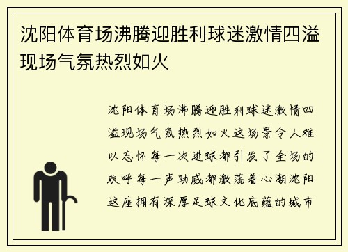 沈阳体育场沸腾迎胜利球迷激情四溢现场气氛热烈如火