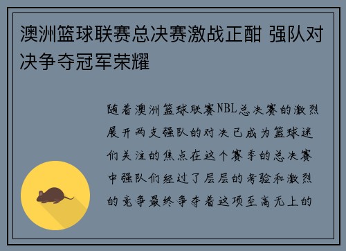 澳洲篮球联赛总决赛激战正酣 强队对决争夺冠军荣耀